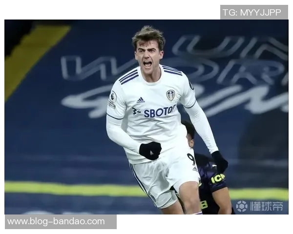 班福德足球的崛起与挑战探索英超联赛中的新星球队发展之路 班福德足球的崛起与挑战探索英超联赛中的新星球队发展之路