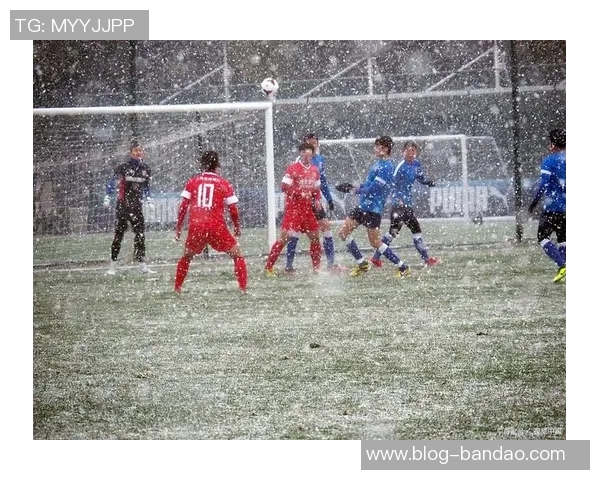 足球场上的悲剧时刻直接导致生命的逝去与反思 足球场上的悲剧时刻直接导致生命的逝去与反思
